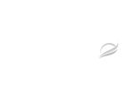 AstonFly