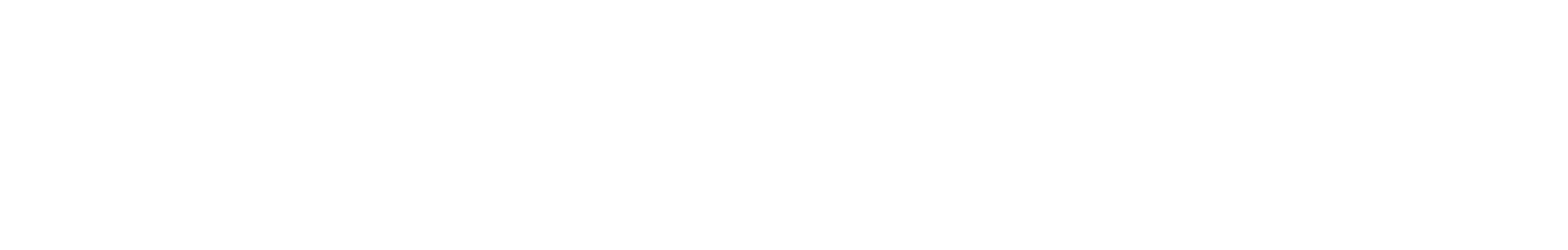 FlightLogger logo